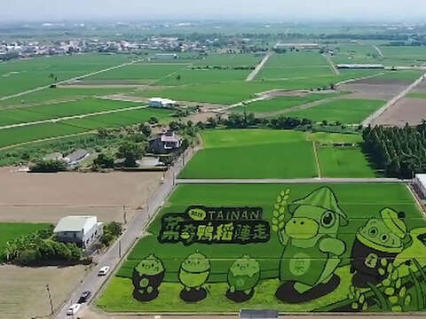 2026台南好米季-菜奇鸭稻阵走_彩绘稻田(後壁区农会提供)