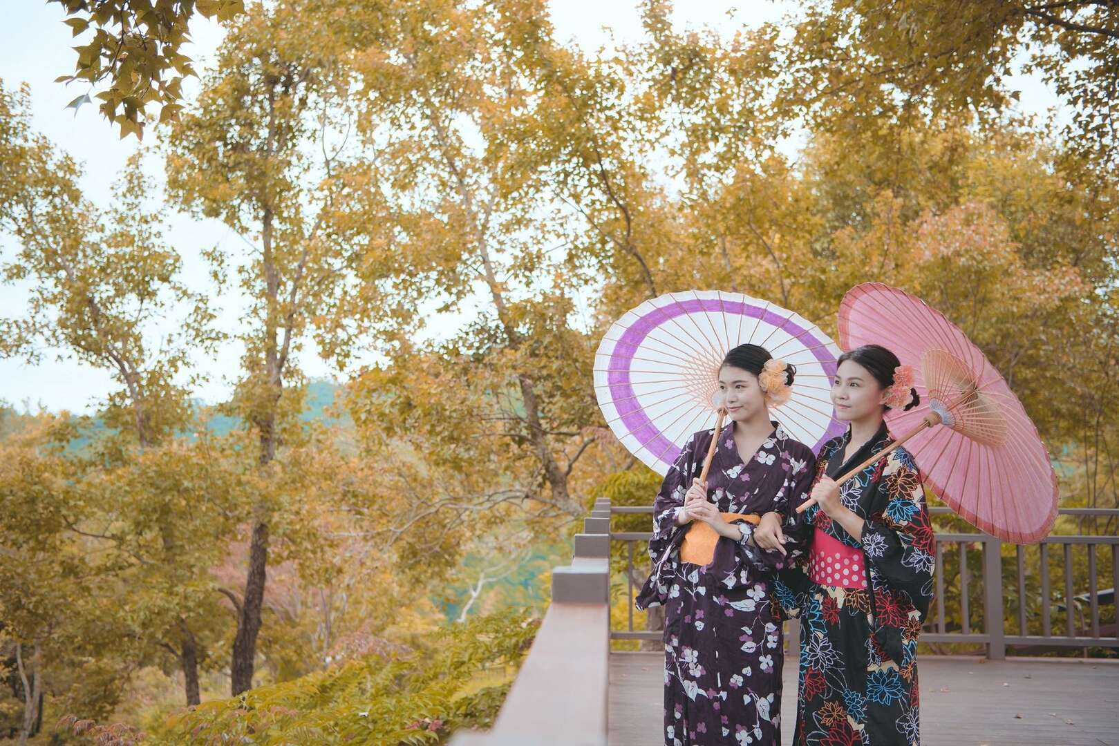 天氣漸冷，關子嶺紅葉公園將漸染美麗秋色