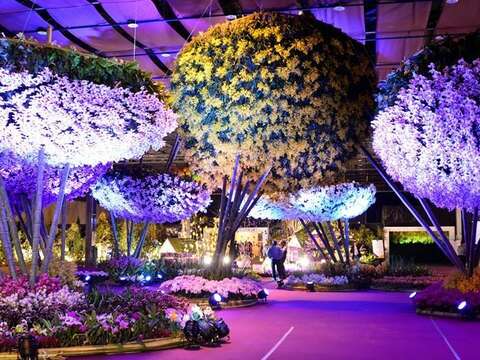 Taiwan International Orchid Show