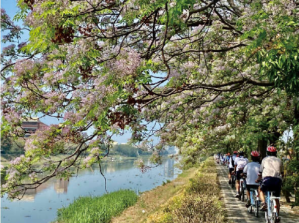 山海圳綠道-自行車道