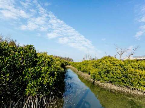 双春滨海游憩区