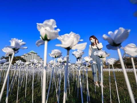 玫瑰花燈海(南市觀旅局提供)