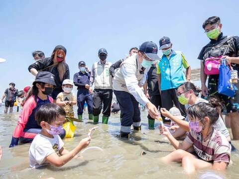 市長下水挖文蛤體驗與民眾互動