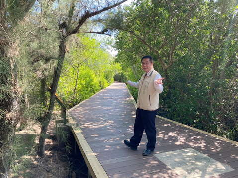 Tainan Mayor Huang Wei-Che Unveils the Mangrove Trail at the Shuangchun Seaside Recreation Area
