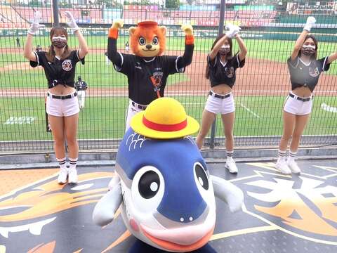 The official Instagram account of the Tainan Sababoy mascot is here!