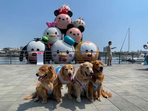 黃金獵犬與tsum tsum合影