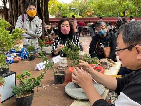 民眾體驗赤崁盆景藝術賞析活動(臺南古城聯合工作室提供)