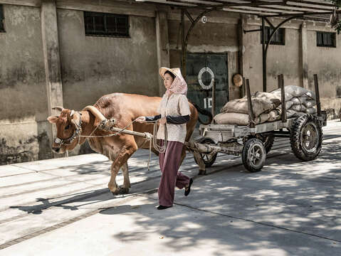 《牛車來去》拍攝景點指南5_新營區新營糖廠， 公視提供