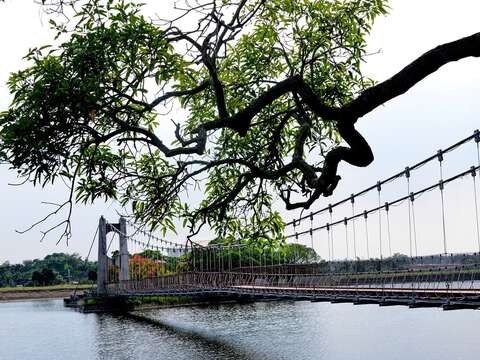 拥有百年历史的虎月吊桥，是来虎头埤必走的景点