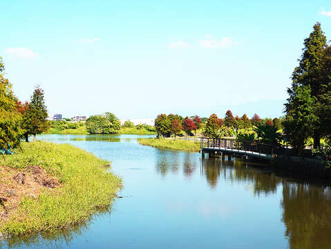 鱼头君带路12月号_六甲菁埔埤落雨松