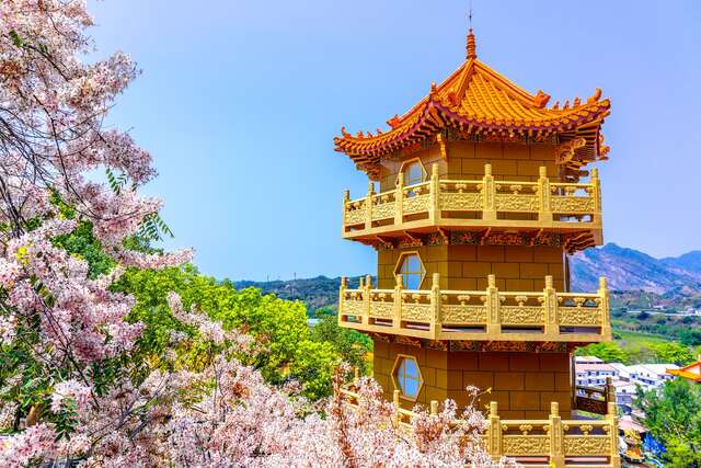照片-台南-南化玉山宝光圣堂花旗木