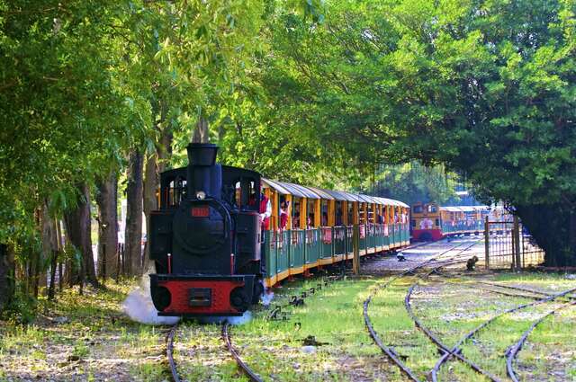 曾是运送甘蔗的小火车以崭新的铁道文化面貌在众人面前亮相