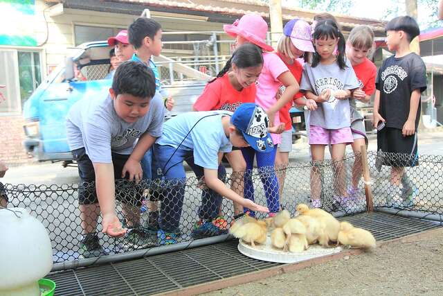 Tainan Duck Leisure Farm(台南鴨莊休閒農場)