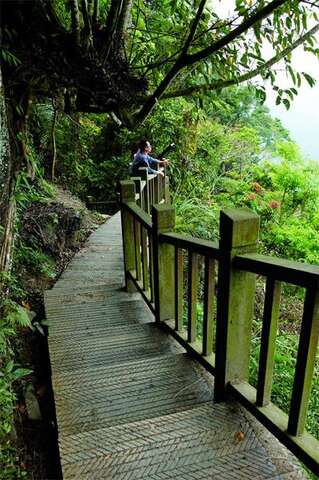 Shantou Mountain Trail(崁頭山步道)