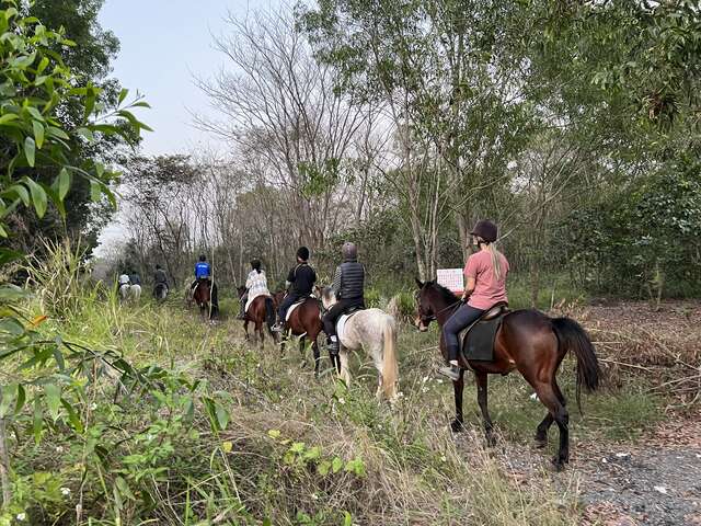 骑马体验穿梭林场