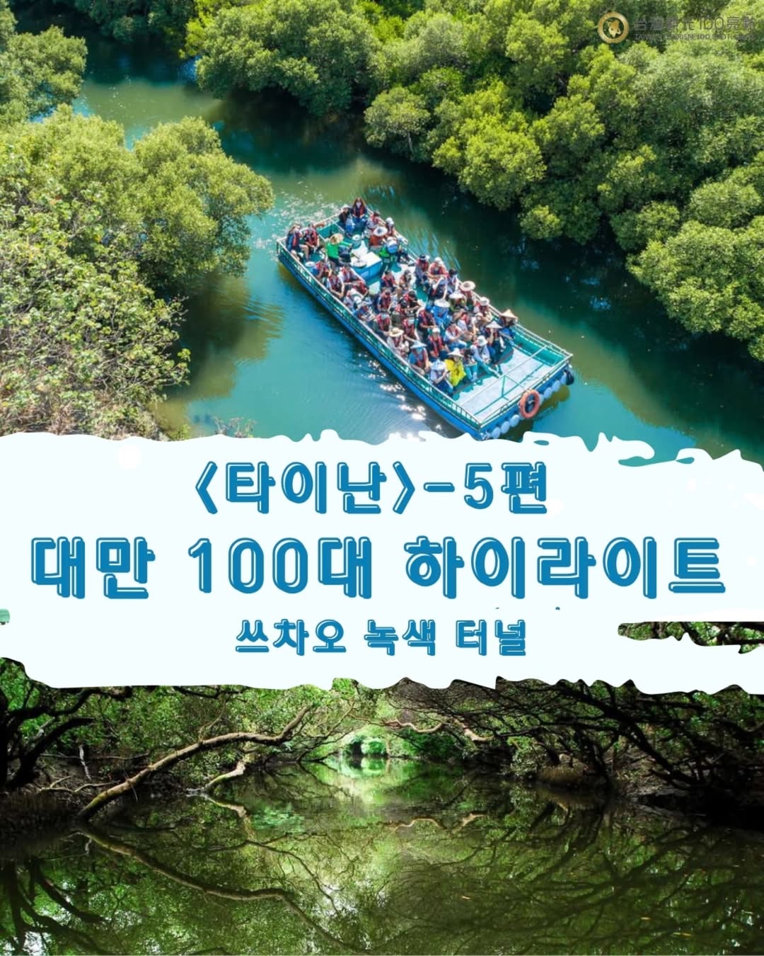 타이난 여행을 계획 중이라면, 이 환상적인 비밀 명소는 절대 놓치지 마세요!‘대만의 아마존’이라 불리는 【쓰차오 녹색...