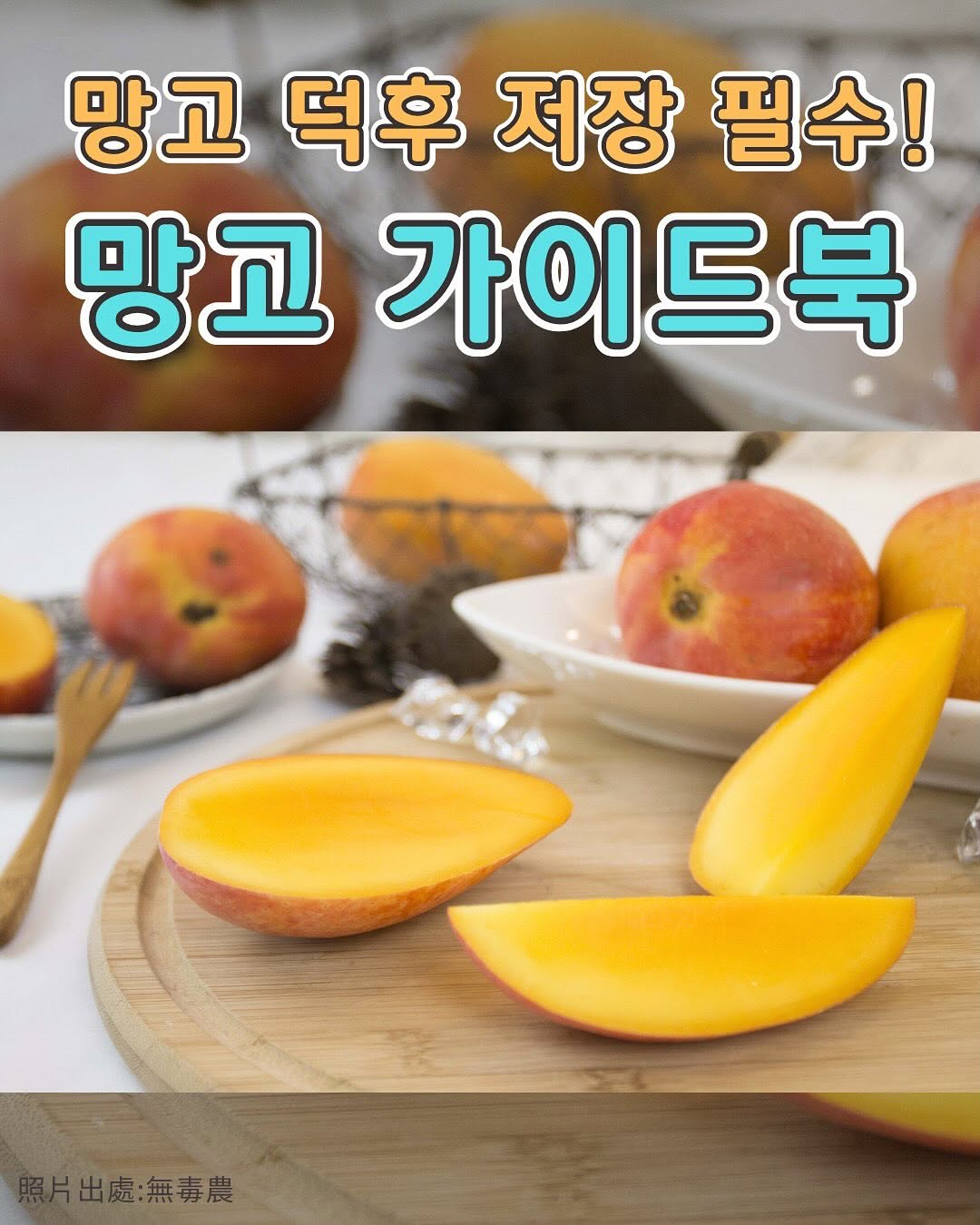 망고 덕후들 주목!대만 여름 = 망고 천국 ☀️6월~8월은 대만 망고 계절!종류가 너무 다양해서어떤 망고를 사야 할지...