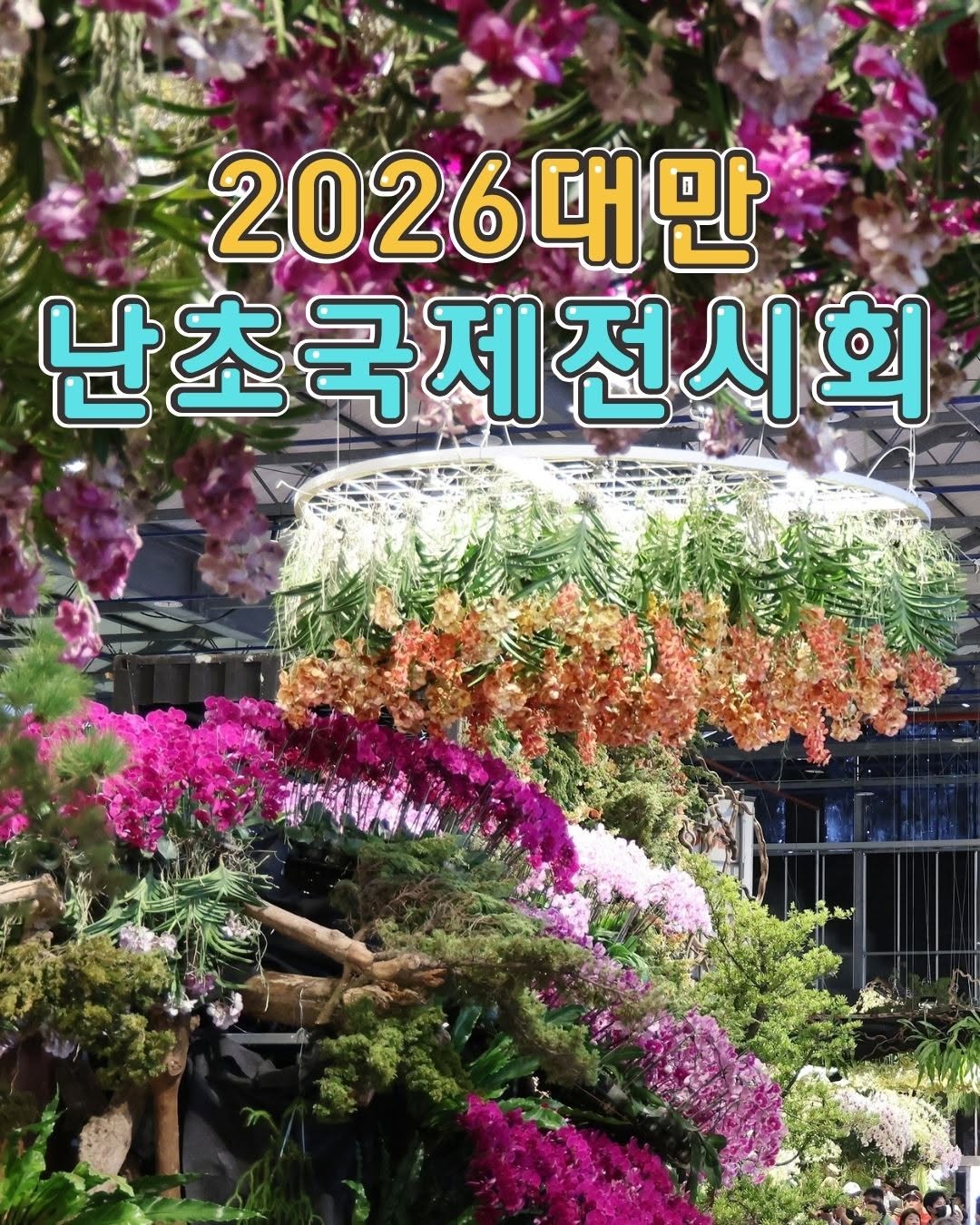 2026 대만 국제 난초 전시회아시아 최대 규모의 난 축제가타이난에서 열립니다 다양한 색감의 난꽃 전시부터 테마 공간...