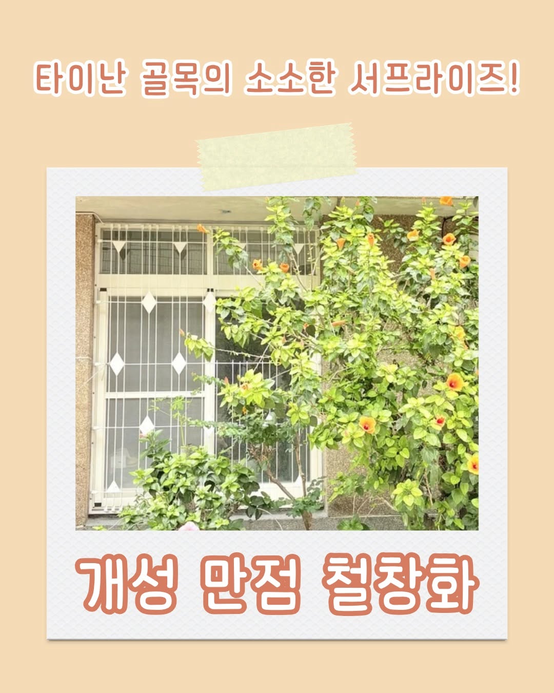 타이난의 골목에선 생활 속 매력을 간직하고 있는 독특한 패턴의 철창화를 만나볼 수 있습니다. 옛날에는 도둑이나 창밖으...