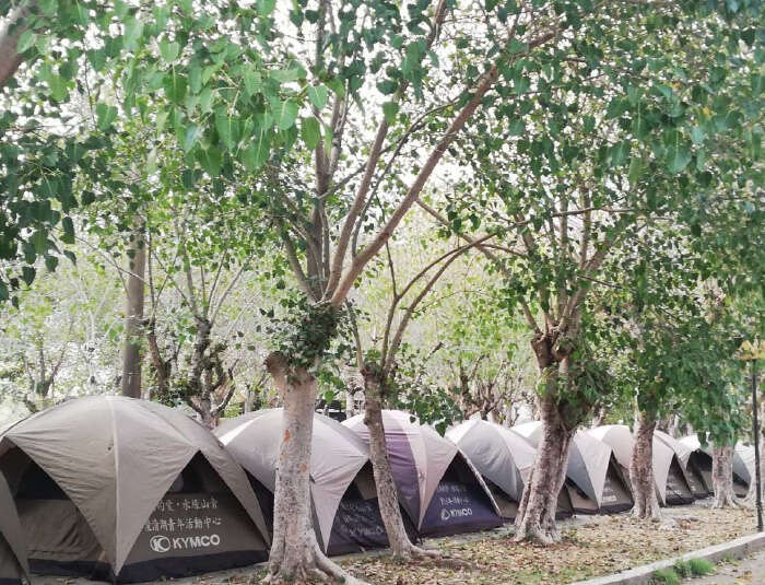 曾文青年活动中心