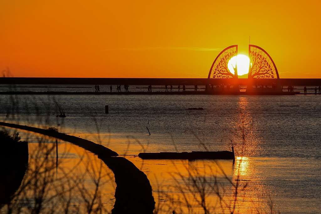 生命之树(夕阳)