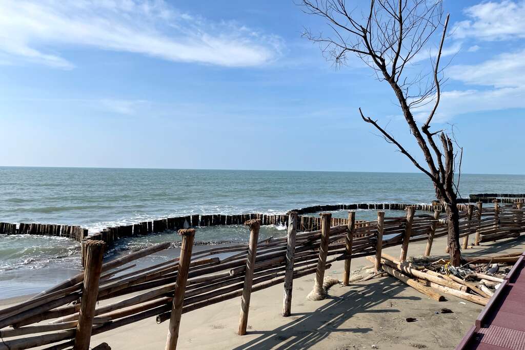 台湾海峡与枯枝