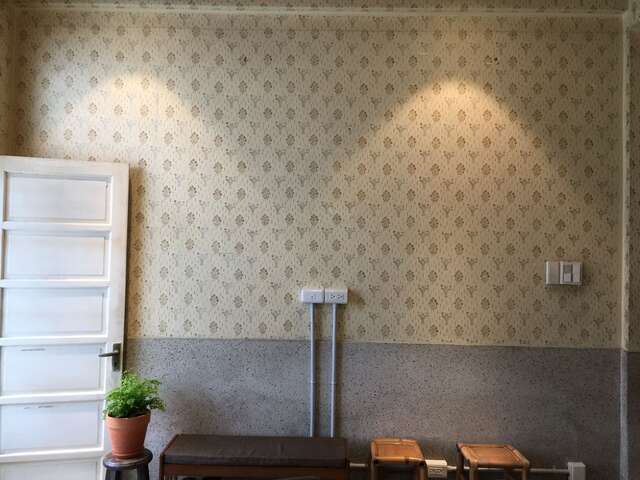 客厅油漆壁花