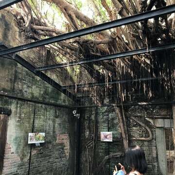 The inside of the Anping Tree House (1)