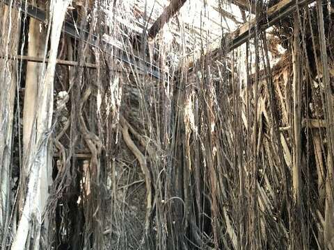 The inside of the Anping Tree House (2)