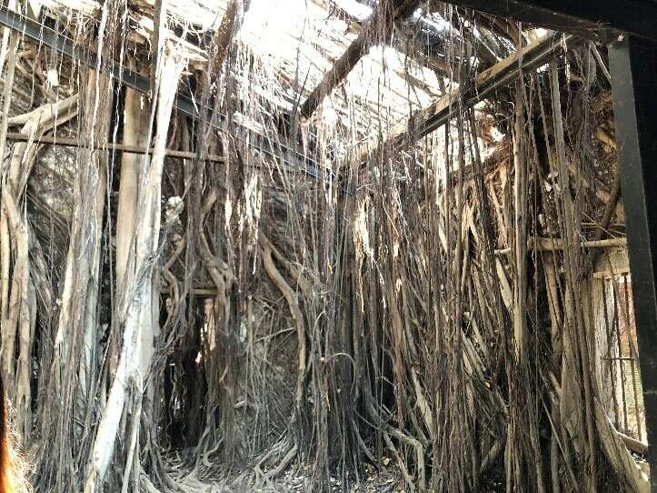 The inside of the Anping Tree House (2)