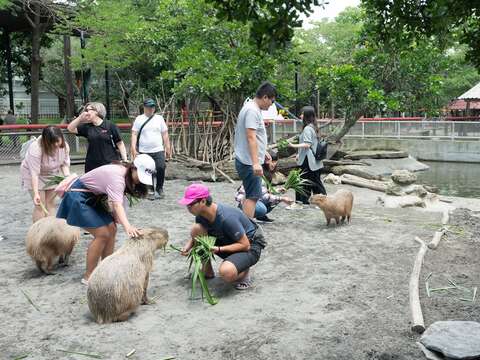 頑皮世界野生動物園