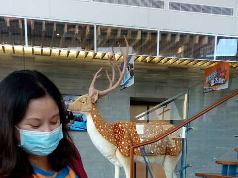  "happy to receive tourists punch ceremony - left the town of Fossil Park "