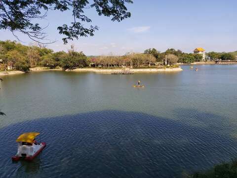  "tiger Pi step on pedal boat "