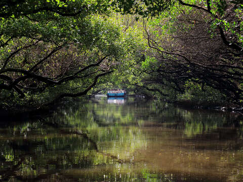  "Sightseeing tube according raft 02 "