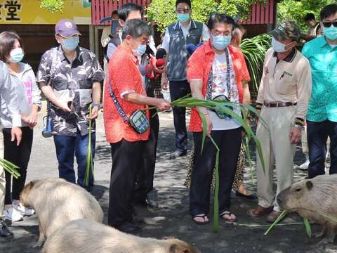  "Mayday vaccination drive Tainan tourist crowds grow - naughty world "