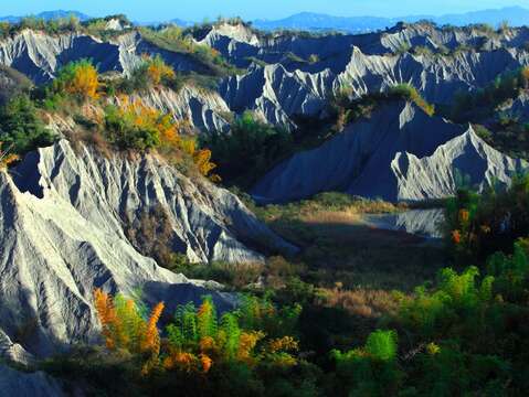 "Grass Mountain Moon World"