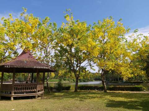 "Hu Tou Pi Abule Flower Condition (Pavilion)"