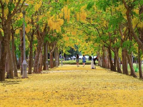 "Xingying District Gymnasium Abler Flower Condition 1"