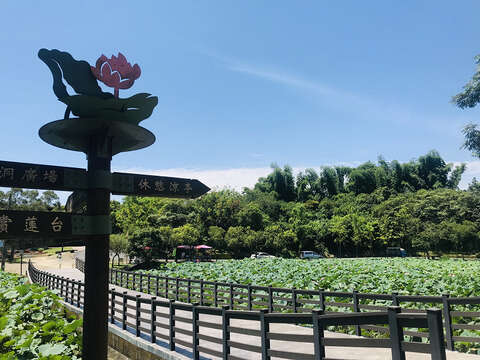 "Baihe Lotus Park"