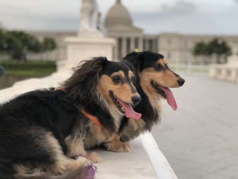 "Chimei Museum 3"