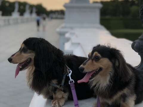 "Chimei Museum"