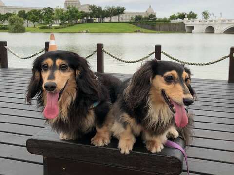 "Chimei Museum 1"