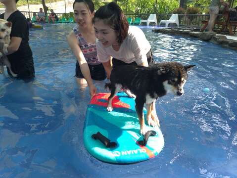 "Guanmiaosen Breathing Pet Experience Water Activity"