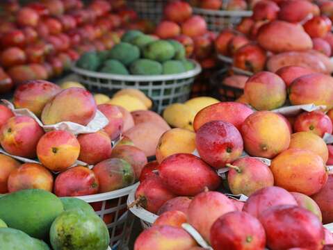 "Tainan International Mango Festival"