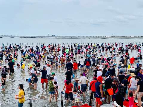 "6. Clam digging in Chizui Garden is full of people"