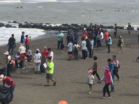 "Beach cleaning activities"