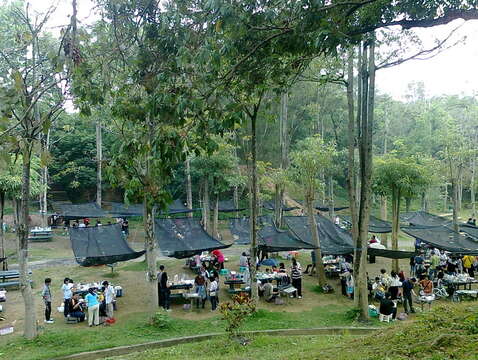 "There are hundreds of stoves in the Hutoupi barbecue area"