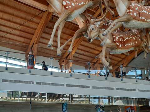 "The third day of the Mid-Autumn Festival-Zuozhen Fossil Park Museum is full of people every day"