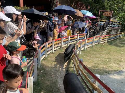 "The third day of the Mid-Autumn Festival-Naughty World Wildlife Park visitors defy the sun to appreciate the animal ecology"