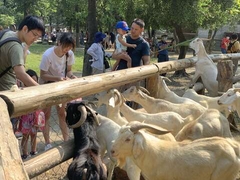 "The third day of the Mid-Autumn Festival-Naughty World Wildlife Park attracts parent-child tourists to feed animals"